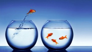 learning-organizations-fish-jumping-500x281